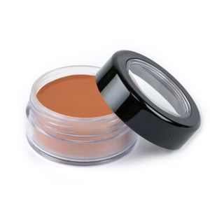 PICTURE PERFECT FOUNDATION – ORIGINAL (SUN WORSHIP TAN)